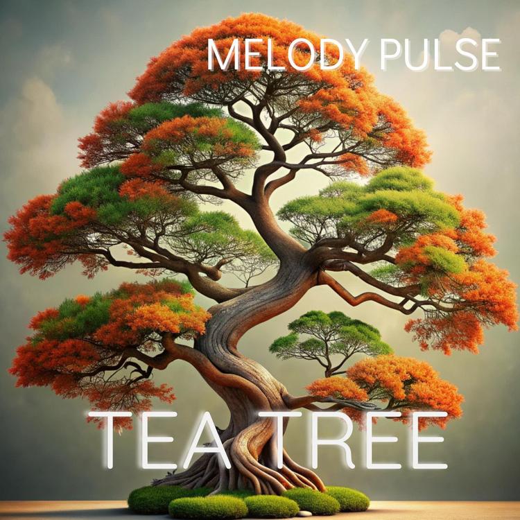 Melody Pulse's avatar image