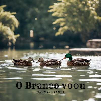 O Branco voou's cover