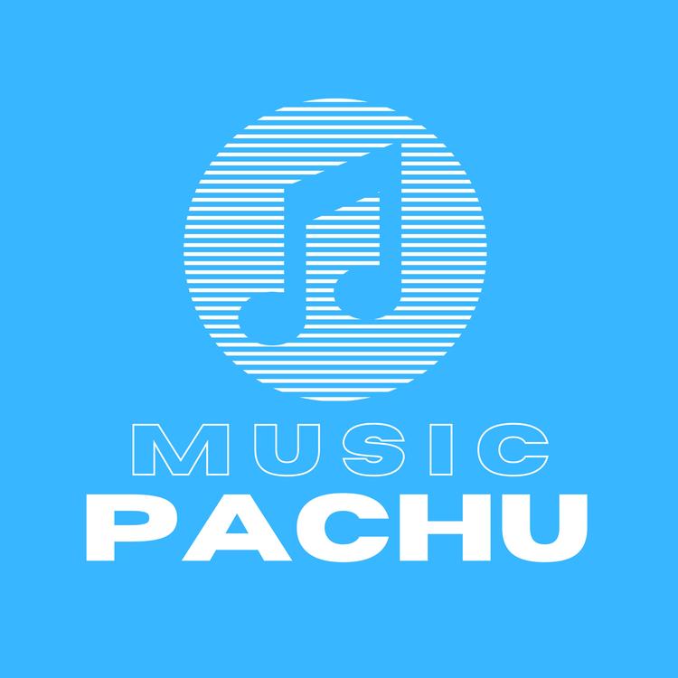 Pachu28's avatar image