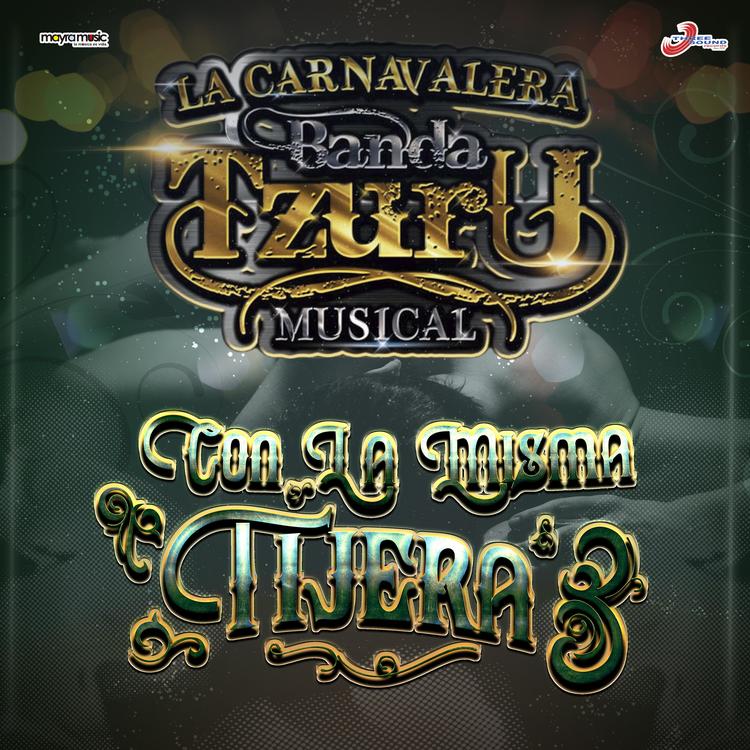 La Carnavalera Banda Tzuru Musical's avatar image