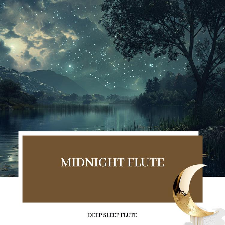 Deep Sleep Flute's avatar image