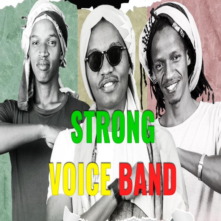 Strong voice band's avatar image