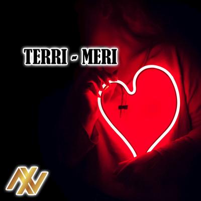 DJ Teri Meri Axl - Inst's cover