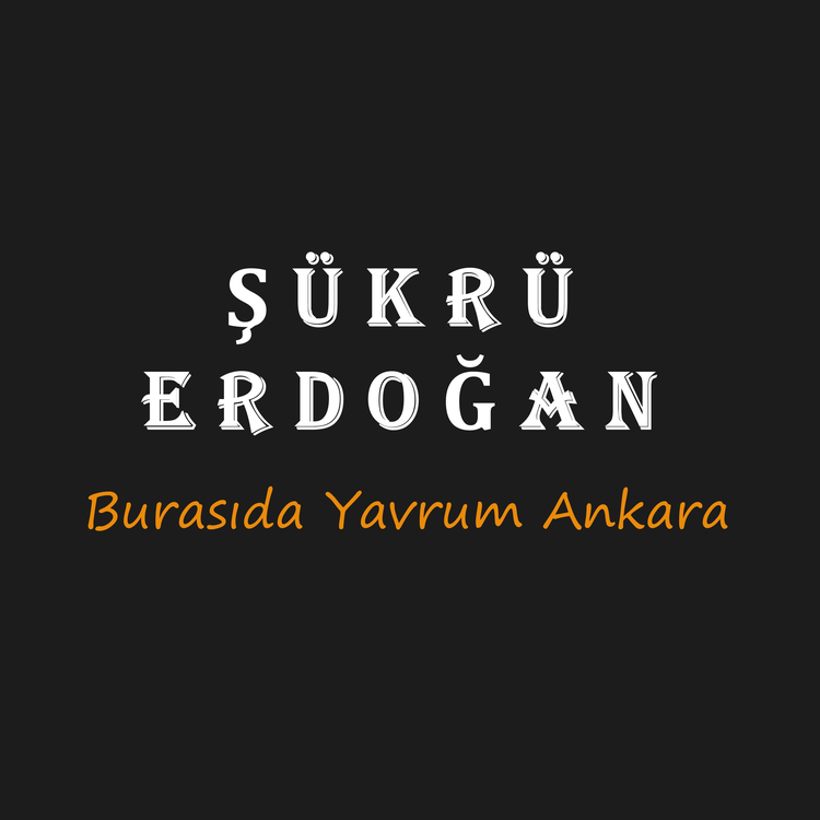 Şükrü Erdoğan's avatar image