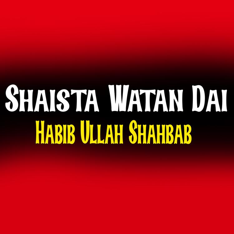 Habib Ullah Shahbab's avatar image