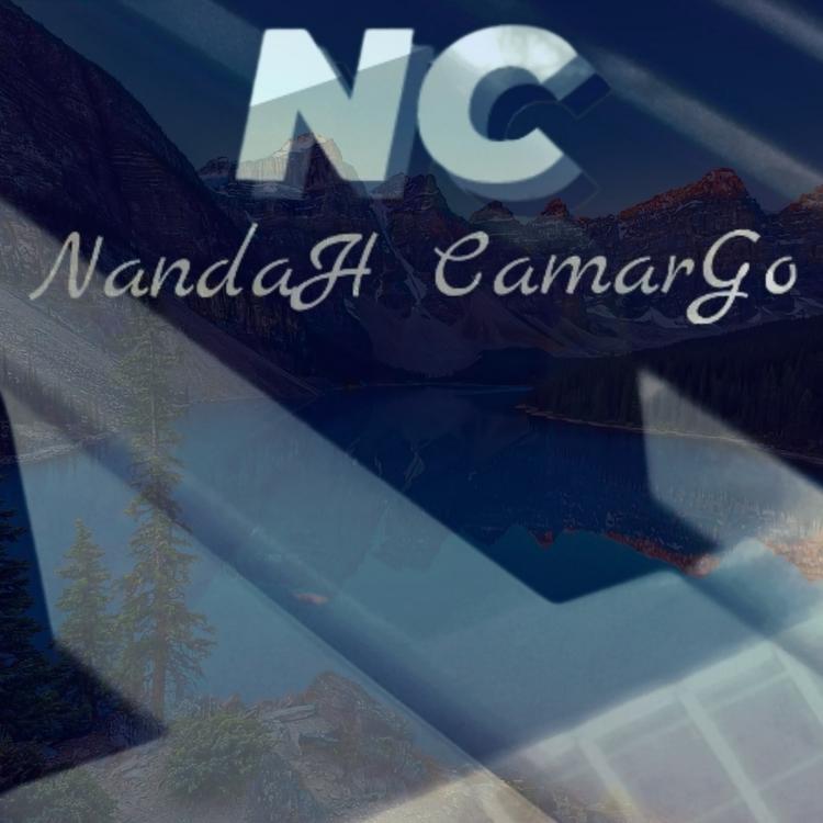 Nandah Camargo's avatar image