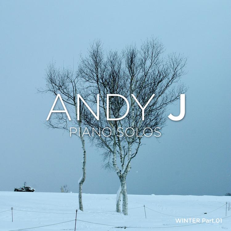 Andy J's avatar image