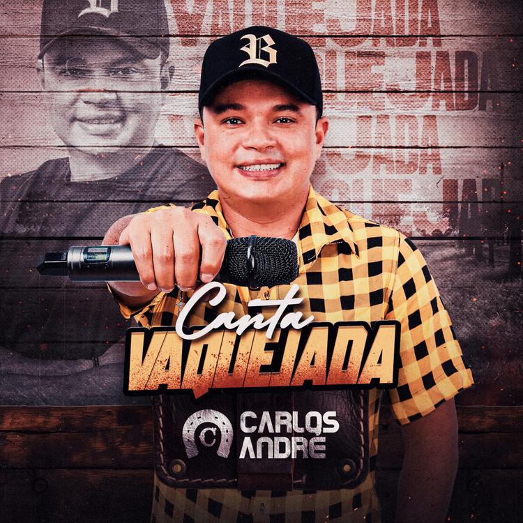 Carlos André Váqueiro's avatar image