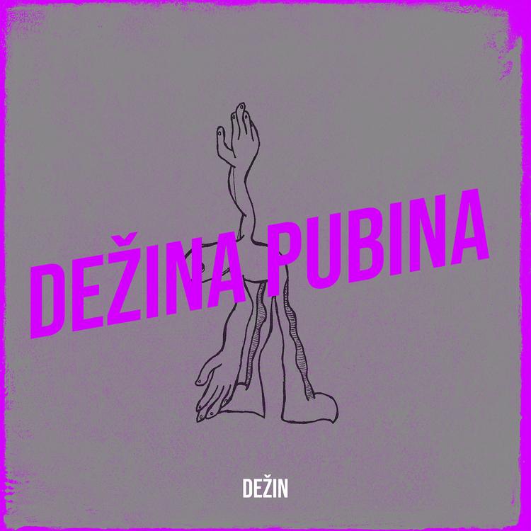 Dezin's avatar image