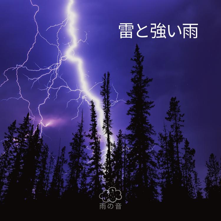雨の音's avatar image