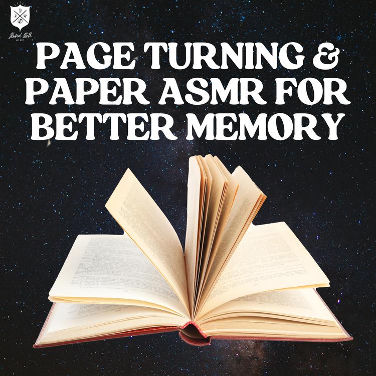 Just Paper ASMR's avatar image