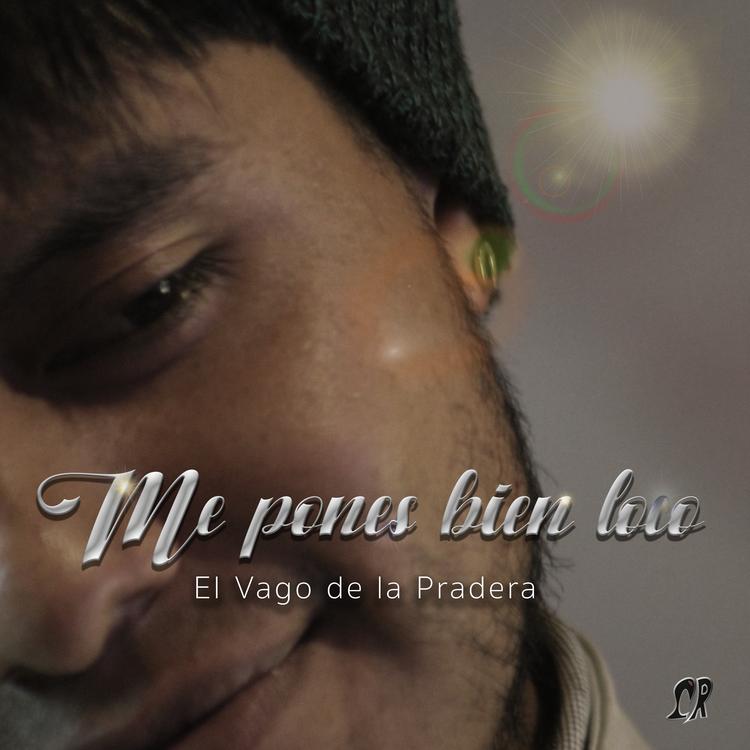 El Vago de la Pradera's avatar image