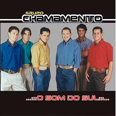 O som do Sul's cover