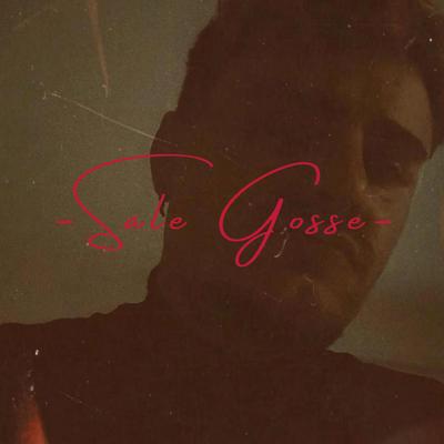 Sale Gosse's cover