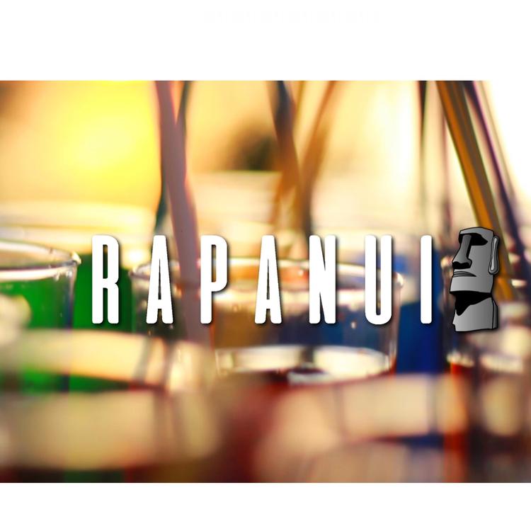 Rapanui's avatar image