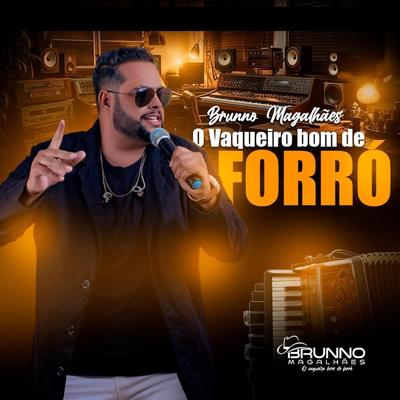 O Vaqueiro Bom de Forró's cover