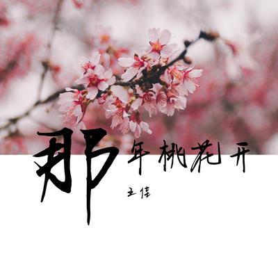 那年桃花落's cover