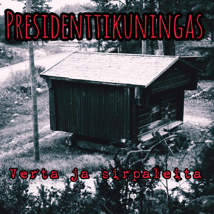 Presidenttikuningas's avatar image