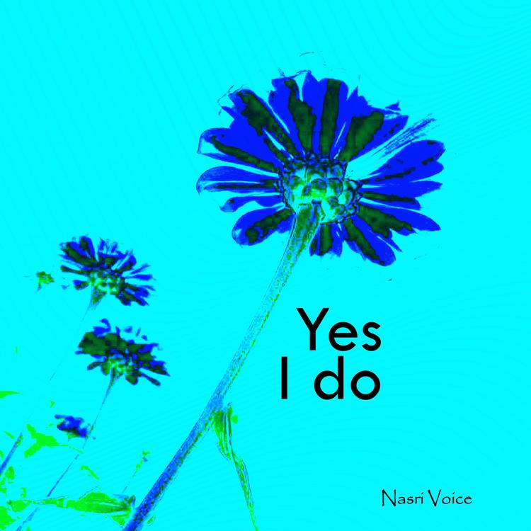 Nasri voice's avatar image