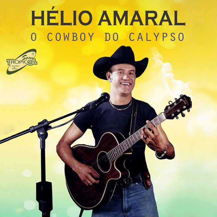 Hélio Amaral's avatar image