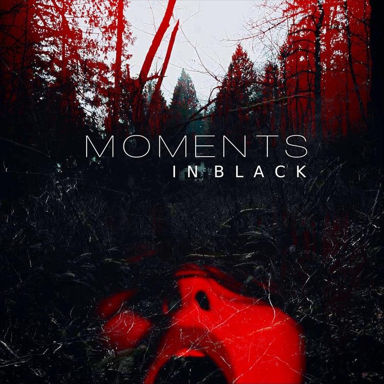 Moments in Black's avatar image