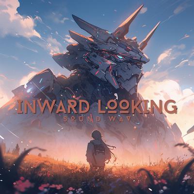 Inward Looking's cover