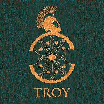 TROY's cover
