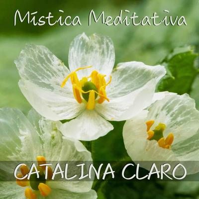 Mística Meditativa 1's cover