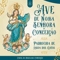 Coral da Imaculada Conceição's avatar cover