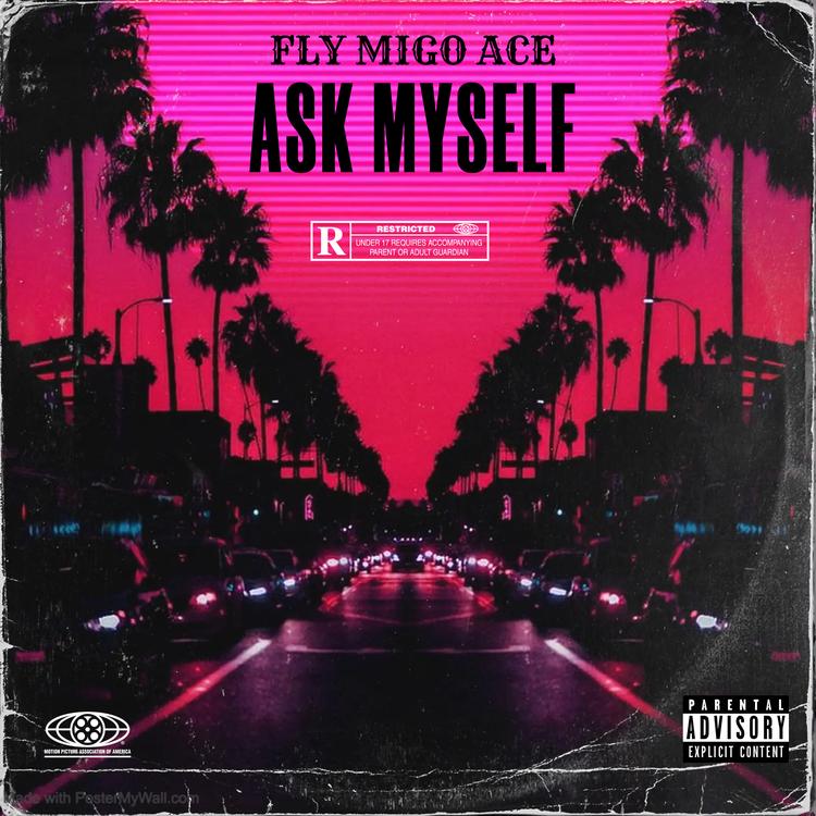 Fly Migo Ace's avatar image