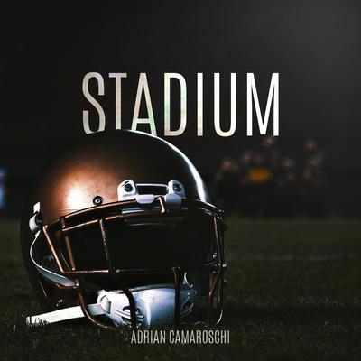 Stadium's cover