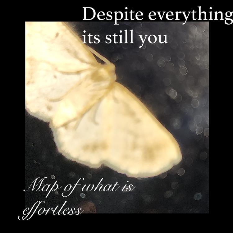 Despite everything its still you's avatar image