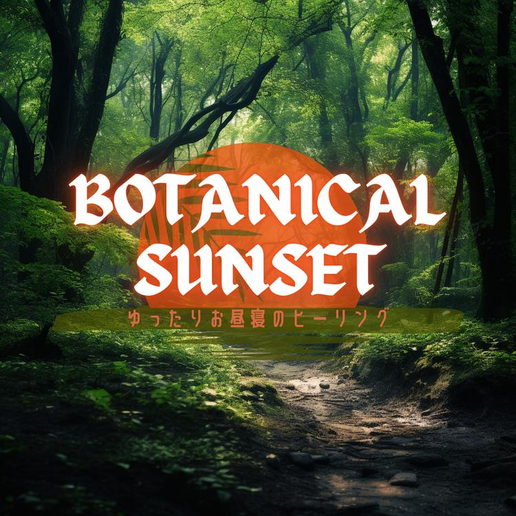 Botanical Sunset's avatar image