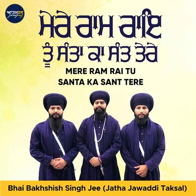 Mere Ram Rai Tu Santa Ka Sant Tere's cover