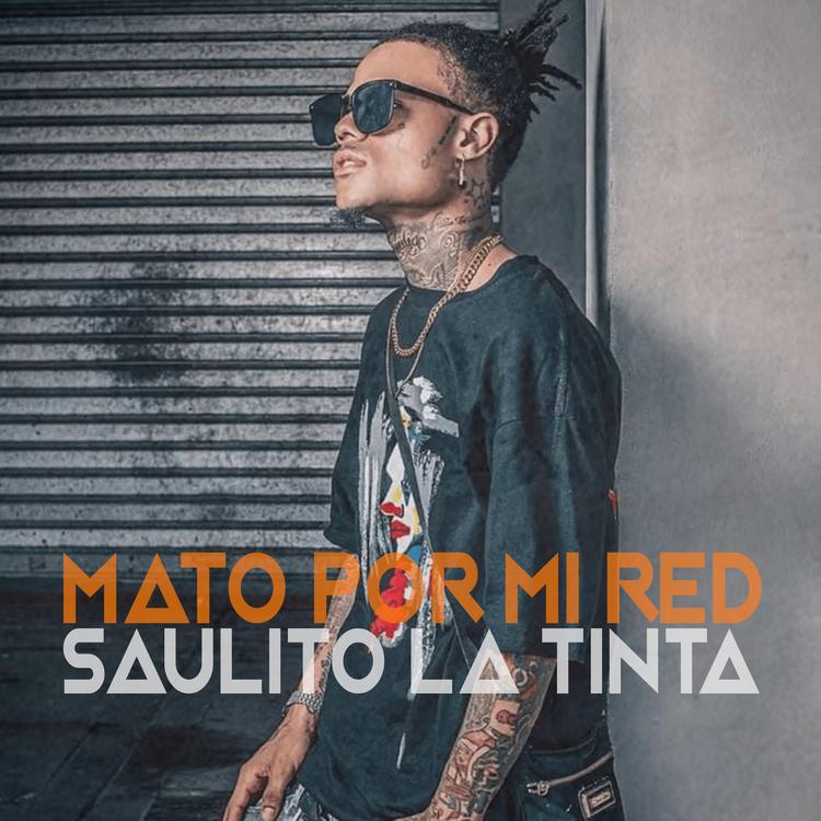 Saulito La Tinta's avatar image