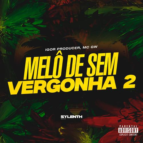Melô de Sem Vergonha 2's cover