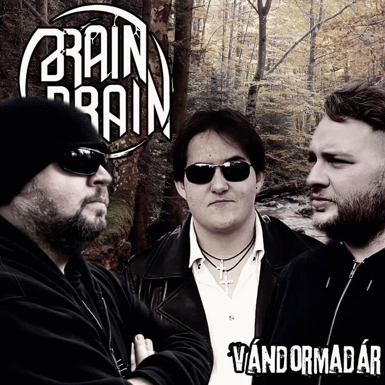 Brain Drain's avatar image