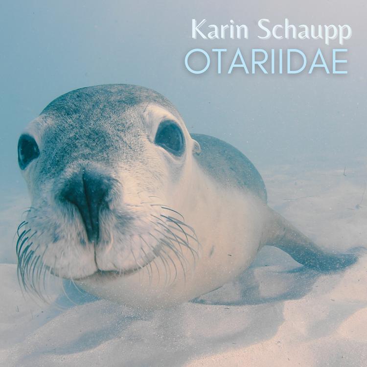 Karin Schaupp's avatar image