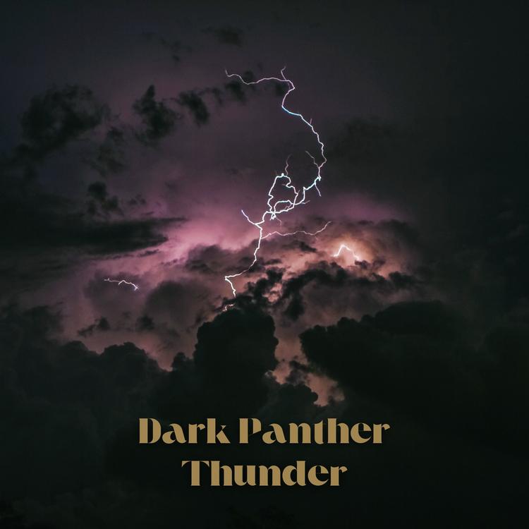 Dark Panther's avatar image