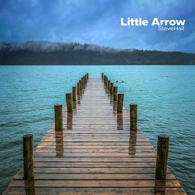 Little Arrow's cover