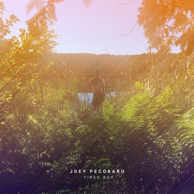 Finding Parking By Joey Pecoraro's cover