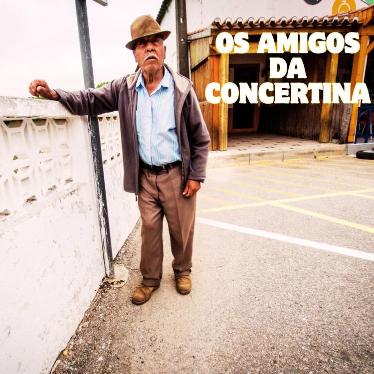 Os Amigos da Concertina's avatar image