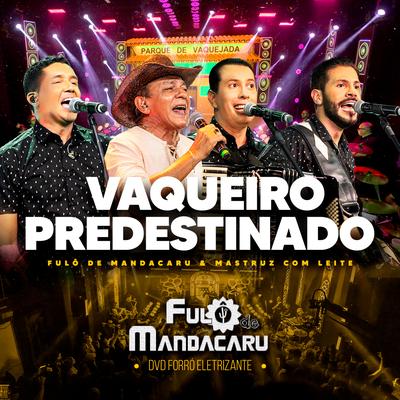 Vaqueiro Predestinado (Ao Vivo) By Fulô de Mandacaru, Mastruz Com Leite's cover