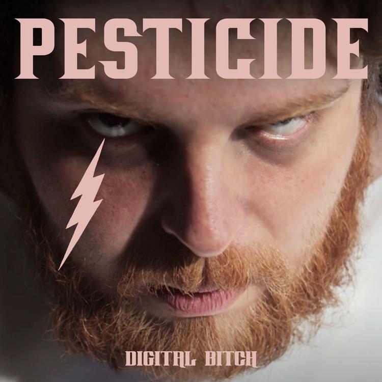 Pesticide's avatar image