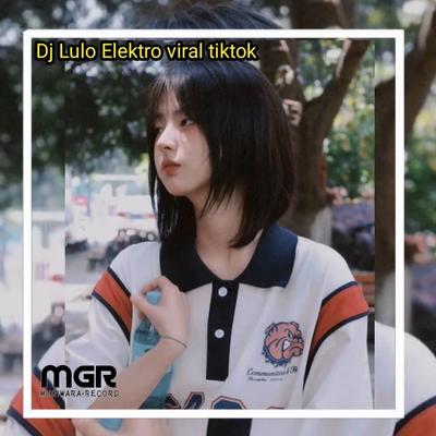 DJ LULO ELEKTRO's cover