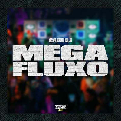 Mega Fluxo's cover