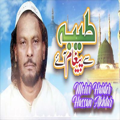 Molvi Haider Hassan Akhtar's cover