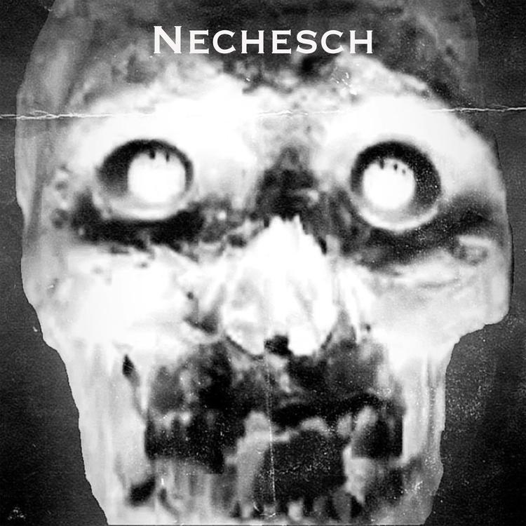 Nechesch's avatar image