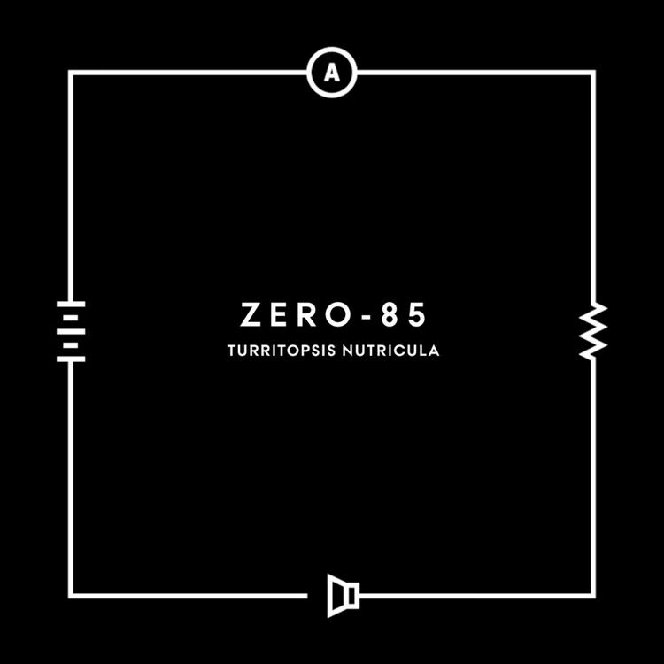 Zero85's avatar image