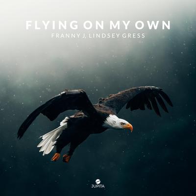Flying On My Own By Franny J., Lindsey Gress's cover